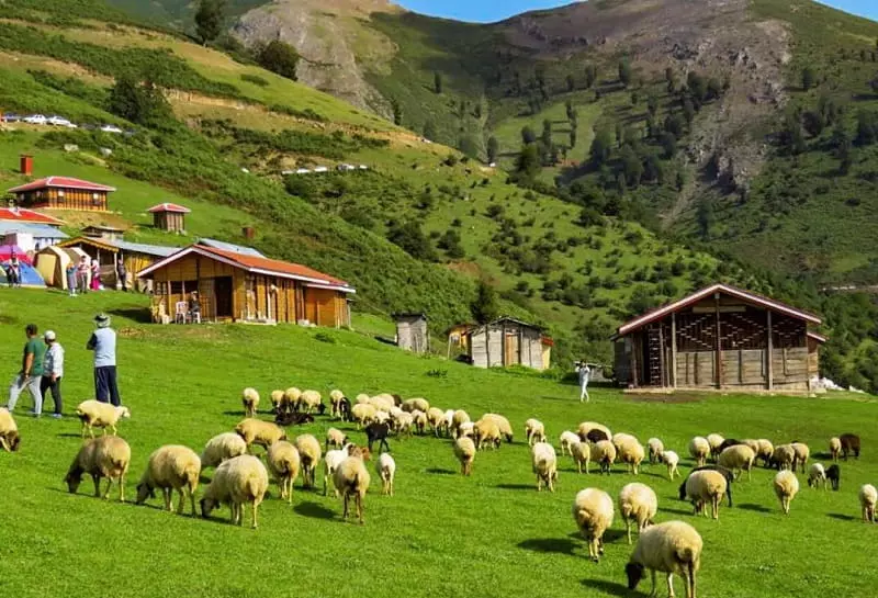 تور چند روزه
